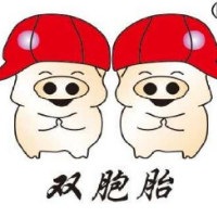 宣威双胞胎猪业有限公司