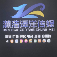 成都瀚浩泽洋网络科技服务有限公司