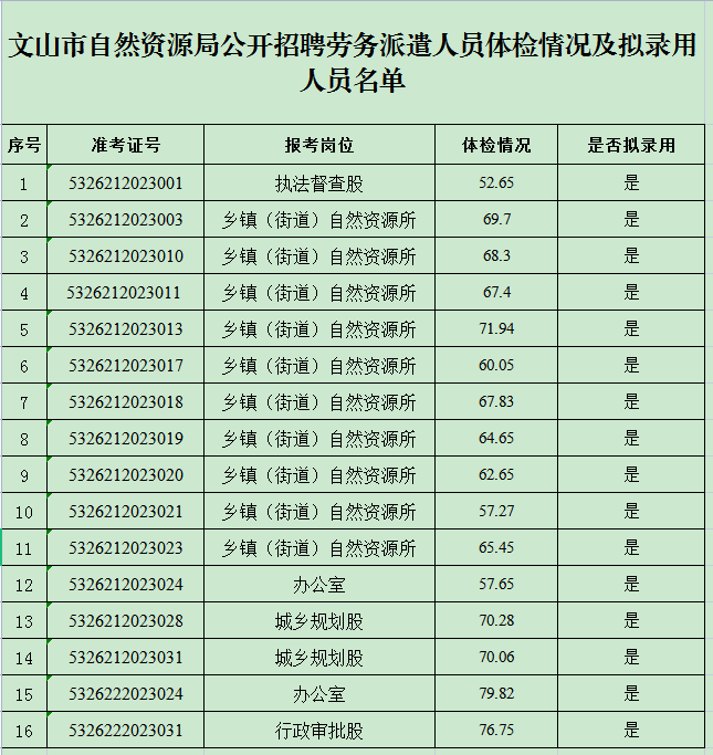 文山市自然资源局公开招聘劳务派遣人员体检情况及拟录用人员名单
