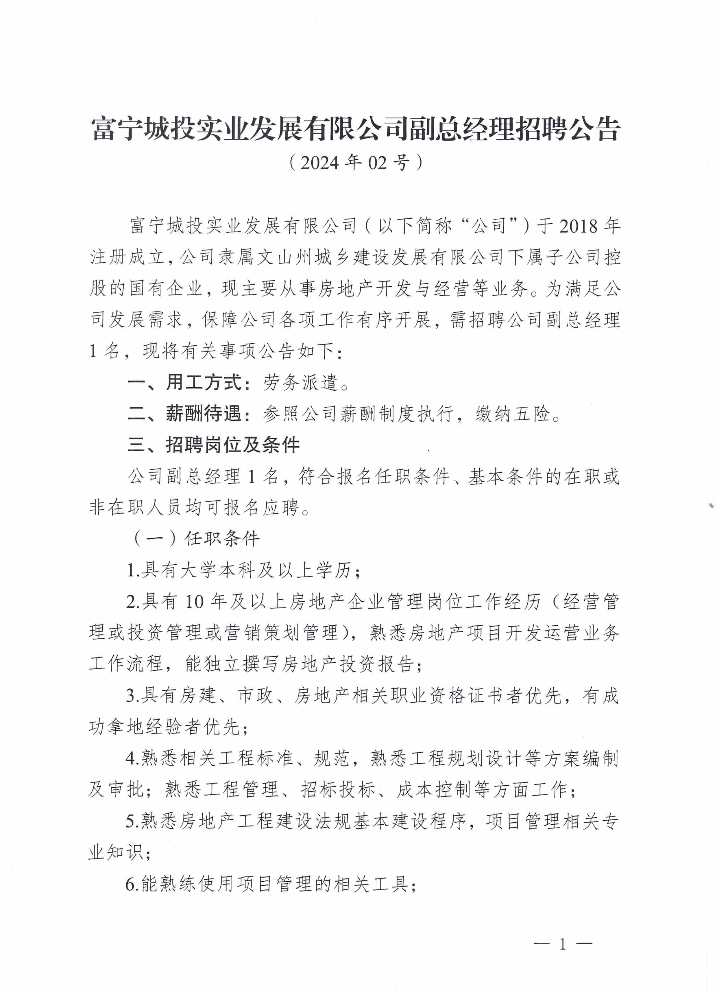 富宁城投实业发展有限公司副总经理招聘公告（02号）(2)_页面_1.jpg